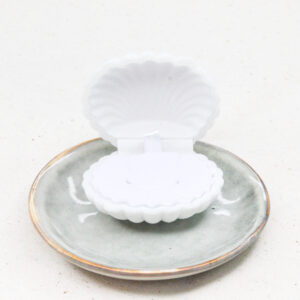 Sieraden doosje schelp