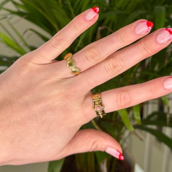 Ring Schelp - Afbeelding 4