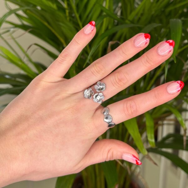 Ring Schelp - Afbeelding 3